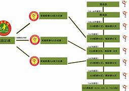 包含九游体育：意甲特拉帕尼的青训体系与未来展望的词条