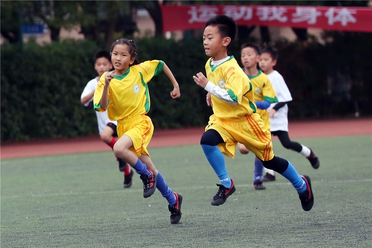 包含九游体育:意甲的改革之路:如何面对现代足球的挑战的词条 包含九游体育:意甲的改革之路:如何面对现代足球的挑战的词条