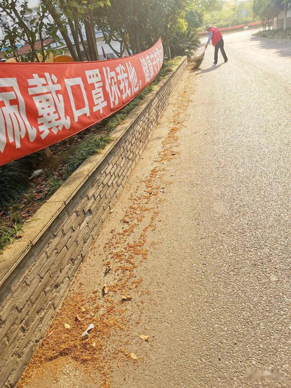 九游体育：篮球公园建设如火如荼，全民健身氛围日益浓厚