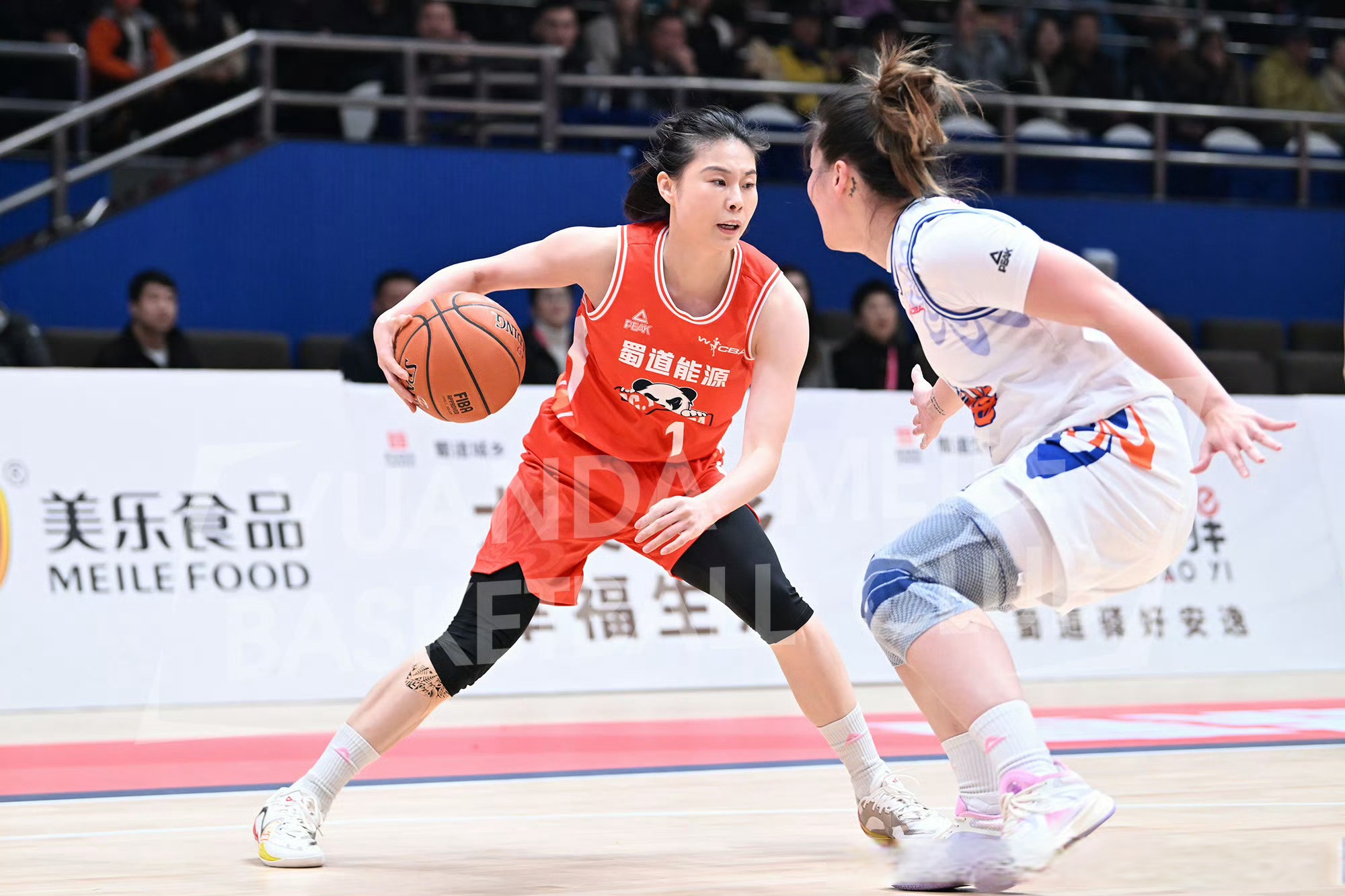 关于九游体育：WCBA全明星赛：球员互动与球迷狂欢的信息